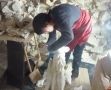 CMN-Chantier des collections MSM (3)