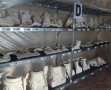 CMN-Chantier des collections MSM (6)