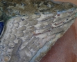ange nimbé au Musée d’Art et d’Archéologie du Périgord (3)