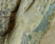 ange nimbé au Musée d’Art et d’Archéologie du Périgord (7)