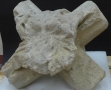 Saint Maur des Fossés-lot 4 (2)