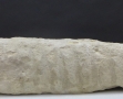 Saint Maur des Fossés-lot 4 (3)