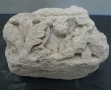 Saint Maur des Fossés-lot 4 (7)