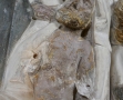 Autun-Rolin-Le-Moiturier-3