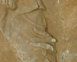 Bas relief David d'Angers (3)