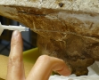 Bas relief David d'Angers (6)