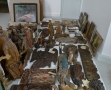 Conservation et conditionnement, Musée de l'Oise, Beauvais (3)