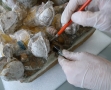 Conservation et conditionnement, Musée de l'Oise, Beauvais (7)