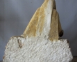 Piéta - musée Dobrée (9).JPG