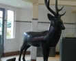Roubaix musée de la Piscine-Cerf de Pompon 1